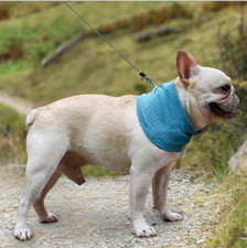 1pcs Summer Dog Cooling Bandana Puppy Chill Out Ice Scarf Collar Pet Cat L
