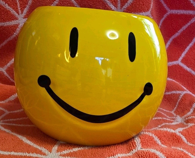 Smiling Happy Face Flower Pot for Indoor Plants Yellow Ceramic
