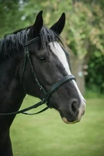 ThinLine EZ Harmony Bitless Noseband Bridle Converter - English or Western