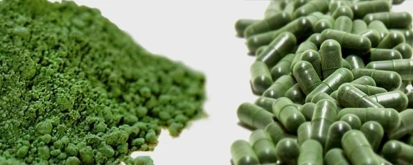 Boost Your Health Capsules - Stem Cell Booster 500mg - Chlorella Vitamins 3B - Image 4 of 4