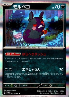Morpeko Holo 051/066 Rare SV4K: Ancient Roar LP Japanese Pokemon Card