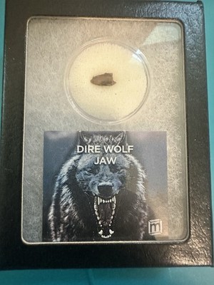 Dire Wolf Tooth