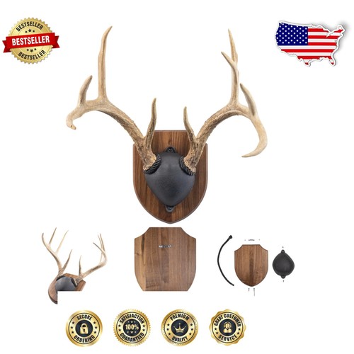 Wisconsin-Made Walnut Antler Trophy Mounting Kit – For Hunters & Collectors - 第 1/11 張圖片