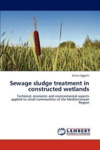 sludge sewage