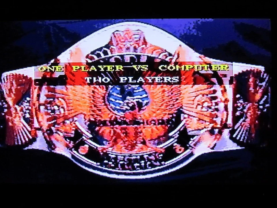 Nintendo WWF Super LessleMania SUPER FAMICOM SHVC-WF JP - Image 4 of 4