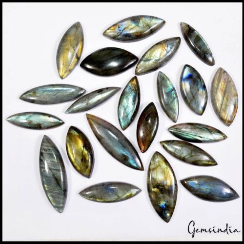 21 Pcs Natural Labradorite Multi Flash Marquise Cabochon Loose Gemstones~600 Cts - Picture 3 of 6