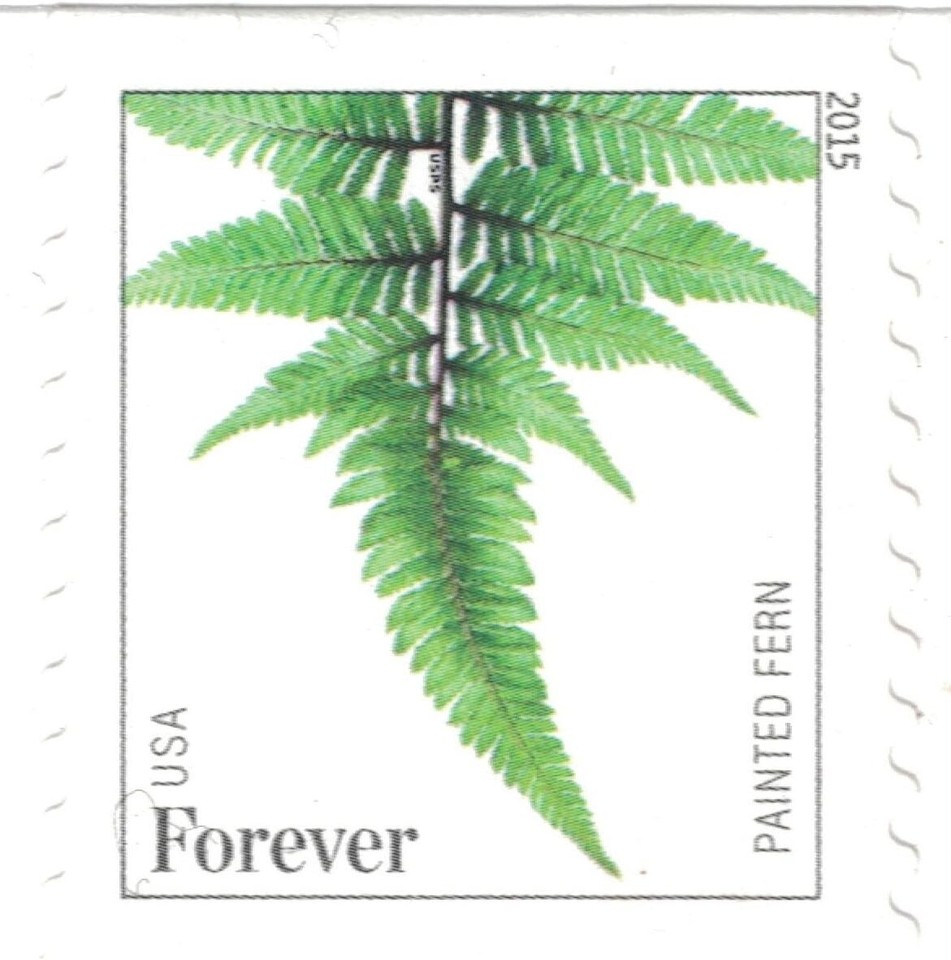 Ferns Forever Stamps 20 Stamps eBay