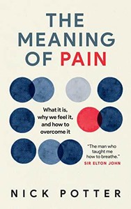 The-Meaning-of-Pain-What-it-is-why-we-feel-it-and-how-to-overcome-it-by-Ni