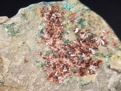 ☆127,g Erythrin Tyrolit Mikrokristalle💎Top Mineral⚒️La Encontrada Mine Spanien - Bild 5 von 12
