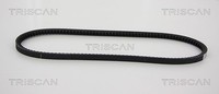 Triscan Keilriemen U.A. FüR Alfa Romeo, Audi, Daihatsu, Ford, Hyundai, Isuzu