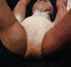 Picture 4 of 4