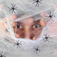 Halloween Spinnennetz Deko 200G Dehnbare Mit 40 KüNstlichen Spinnen