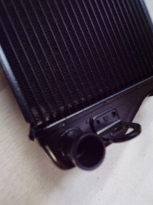 2016 Kawasaki Er6n Er6f Radiator Cooler Grille 39061-0573 for sale 
