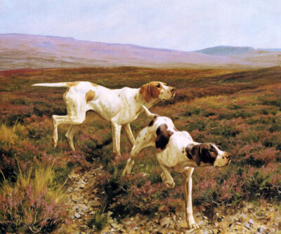 DOG TWO POINTERS IN A FIELD HUNTING ANIMAL PAINTING BY THOMAS BLINKS REPRO 