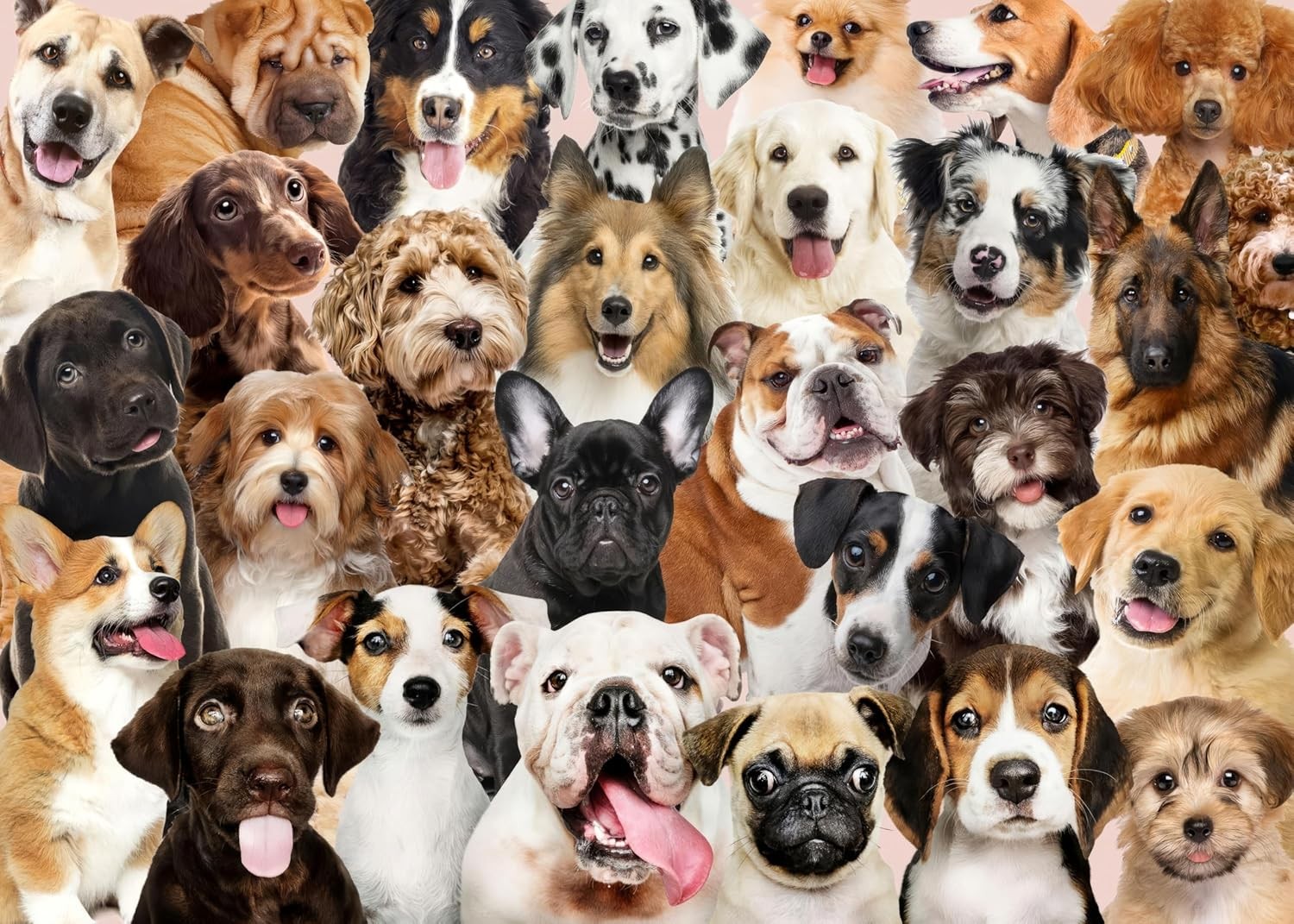 Jigsaw Puzzles for Adults 1000 Piece Lovely Dogs 27.56 x 19.69 Inch Puzzles for