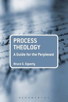 Process Theology A Guide For The Perplexed Bruce G. Epperly Taschenbuch Englisch