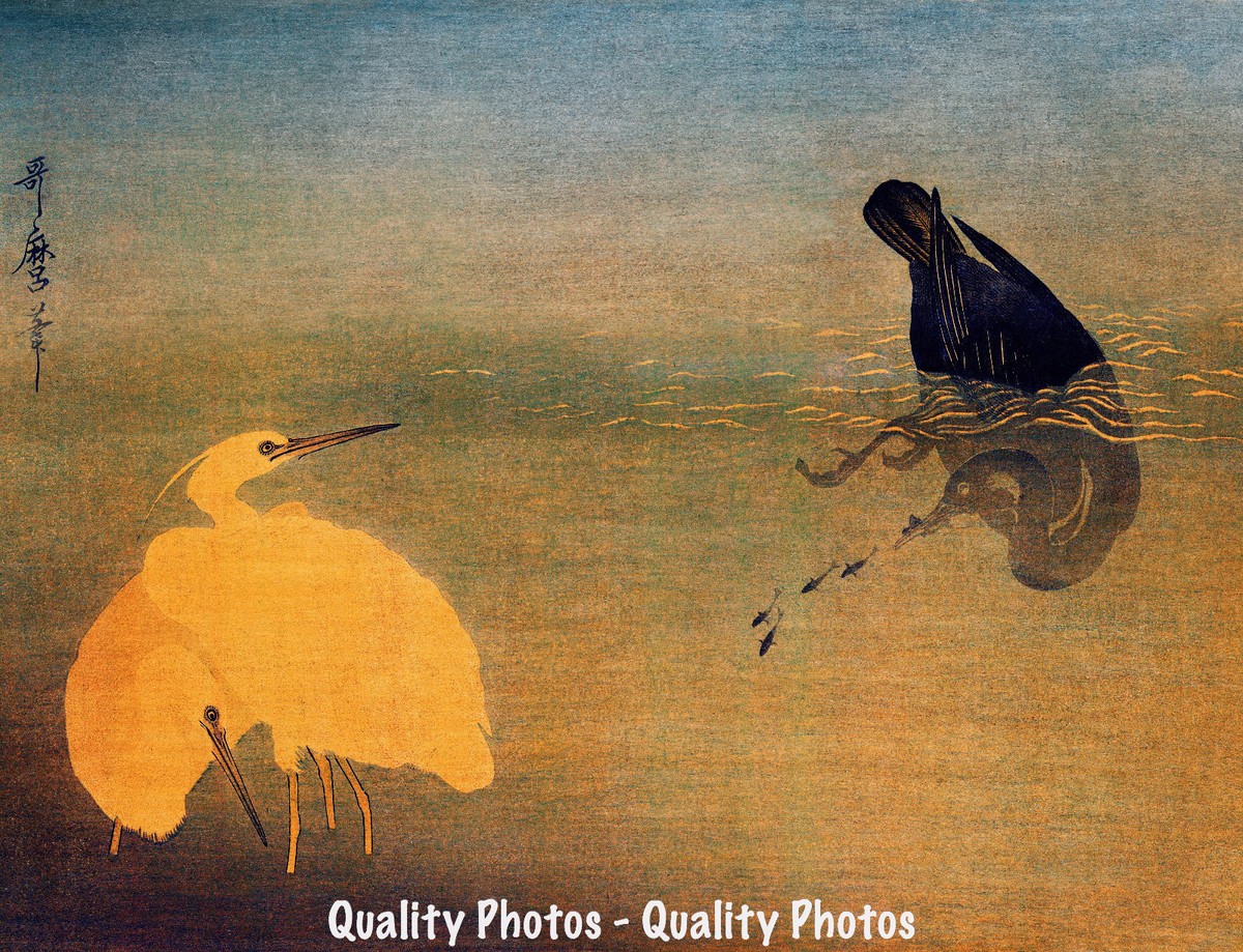 Bird Catching Fish w/2 Gold Herons 8.5x11