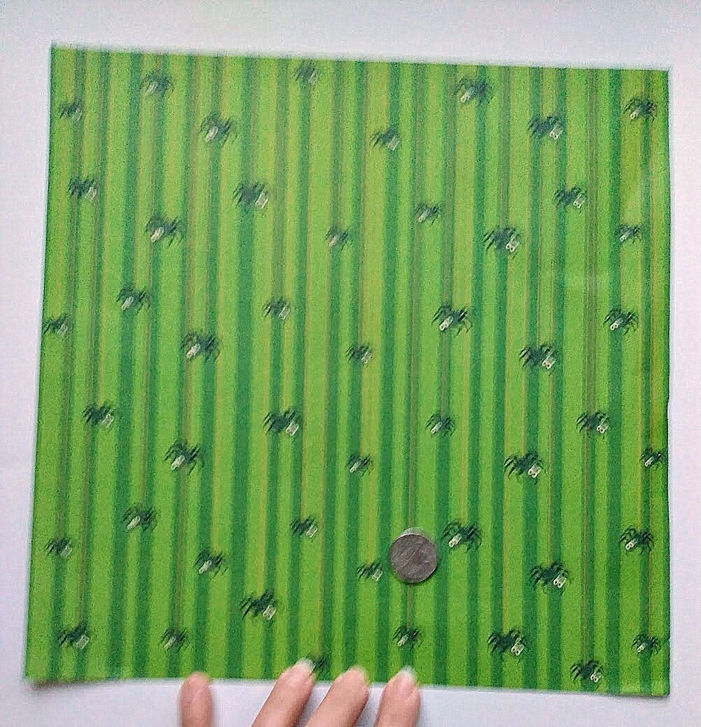Picture 5 of 11