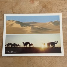 Arabia Saudita Sand Rub Al Khali Desierto Camellos Vintage Postal Tchekof Minosa