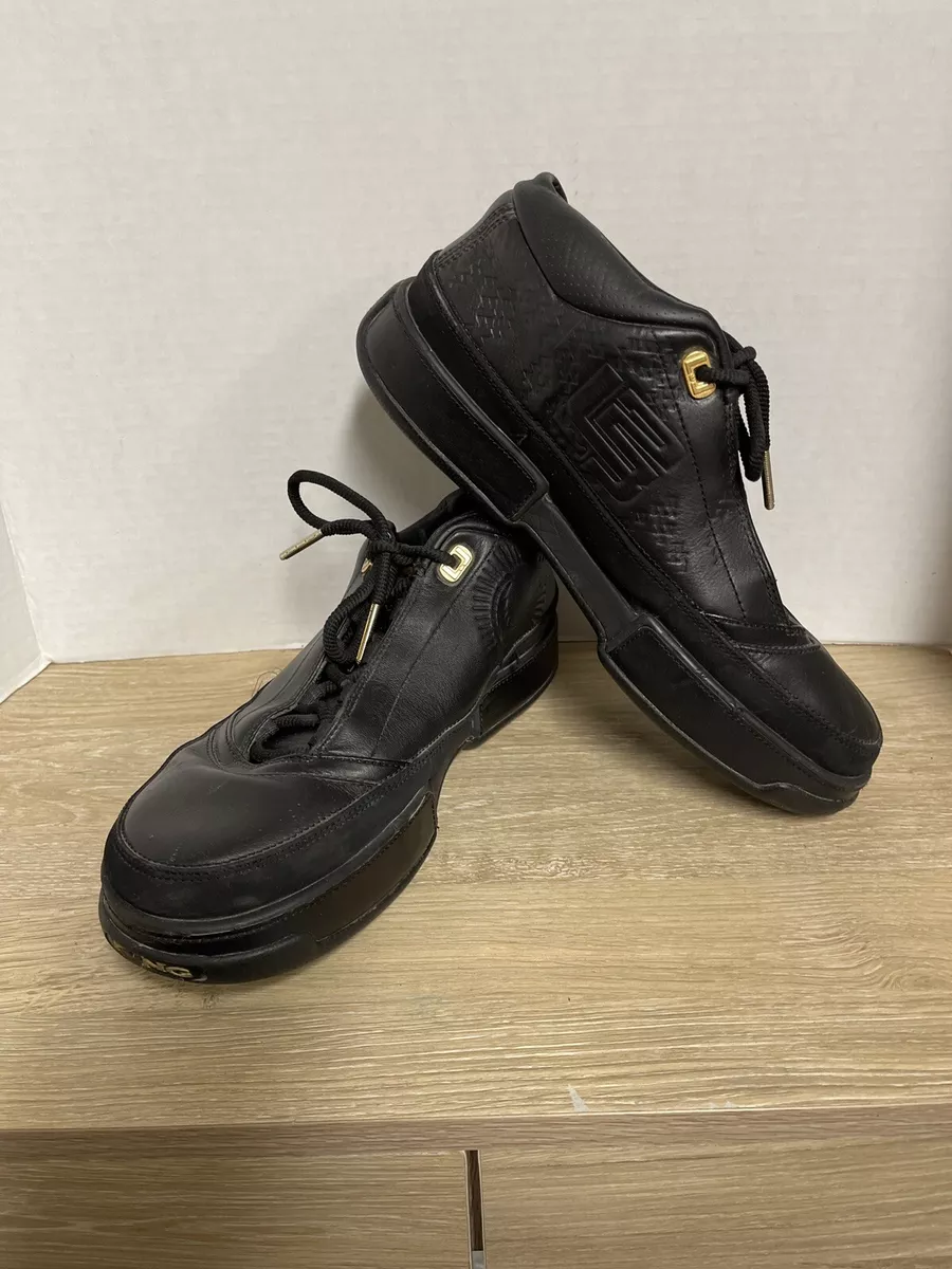 Lebron dress clearance shoes