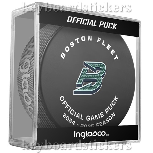 PWHL 2024-2025 Temporada Oficial Juego 6 Hockey Puck Paquete con Cubo -NUEVO LOGO - Imagen 2 de 8