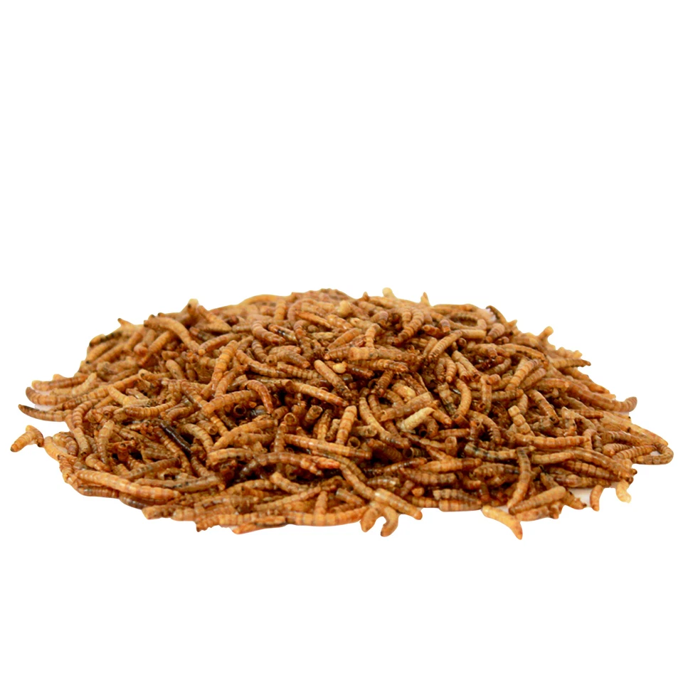 Vogelfutter Mehlwürmer getrocknet Fischfutter Koi Vögel Liter Gartenvögel - Bild 3 von 3