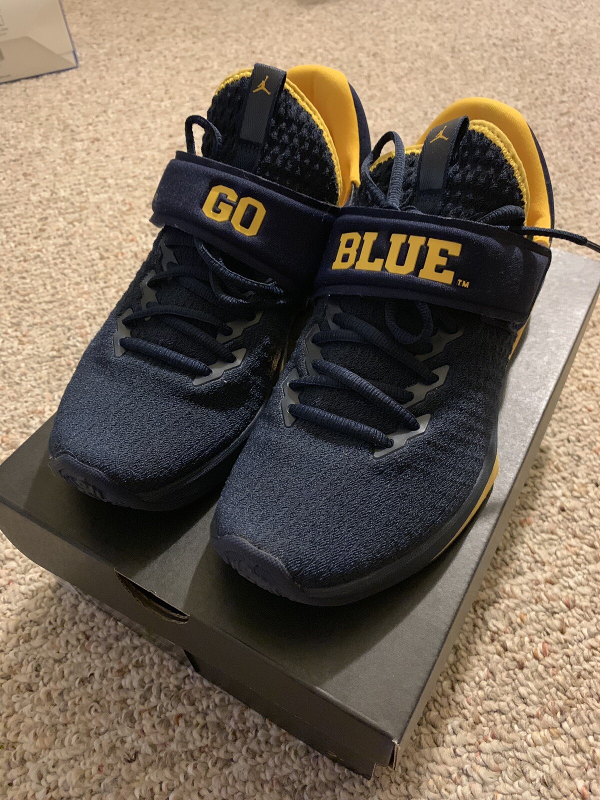 michigan jordan trainer