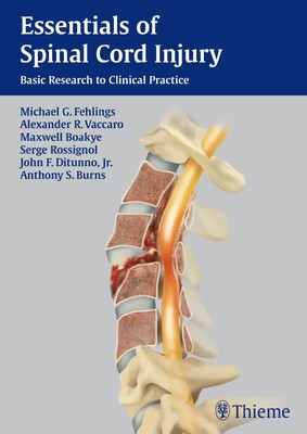 Essentials of Spinal Cord Injury | Basic Research to Clinical Practice | Buch