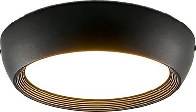 Outdoor 8.2''Flush Mount Ceiling Light LED IP65 Porch Patio Black 22W 3000K. NEW