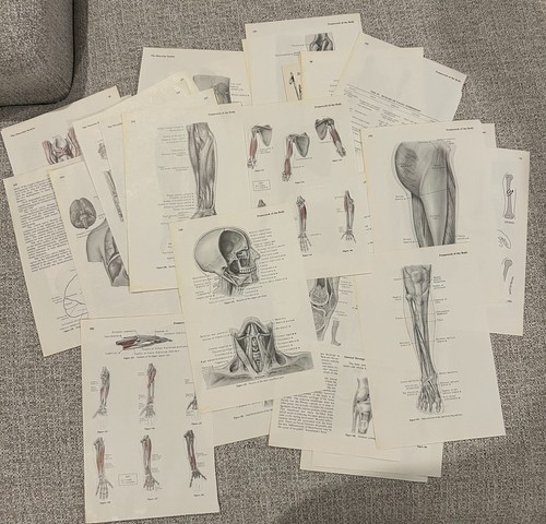 Vintage Science Anatomy Lots of 10 Pages Junk Journal Ephemera YOU PICK Grouping