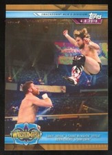 2019 Topps WWE Road to Wrestlemania Daniel Bryan & Shane McMahon Bronze #95
