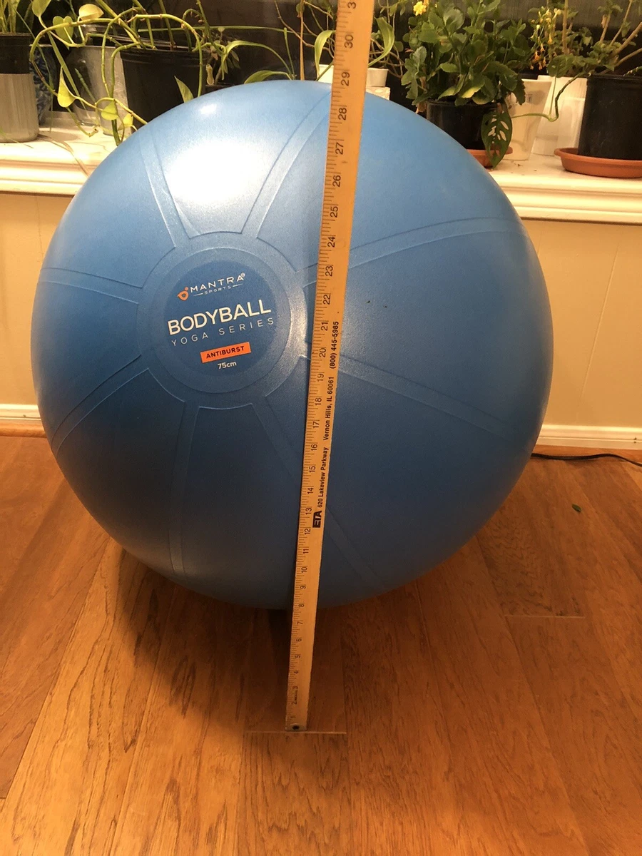 Mantra exercise ball new arrivals