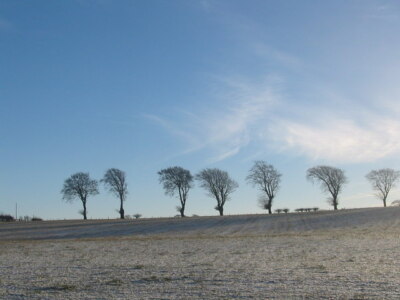 Foto 6x4 Baum gesäumter Himmel Auldhouse Baum gesäumter Himmel bei Auldhouse Ost Ki c2004