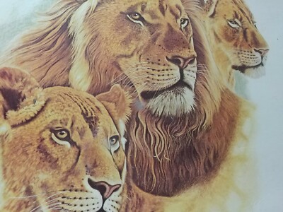 1978 Milton Bradley 500 pc jigsaw puzzle-Big Cats-#4983-Lions