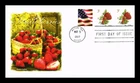 US COVER STRAWBERRIES FIRST DAY ISSUE COMBO PANDA CACHET