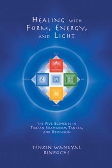 Healing with Form, Energy, and Light: The Five Elem... | Buch | Zustand sehr gut