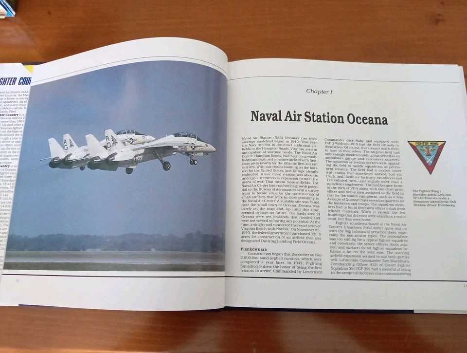 Fighter Country The F-14 Tomcat of NAS Ocean Bellissimo - Immagine 2 di 4