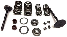 NEW VALVE SPRING INTAKE EXHAUST VALVE GY6 125CC 150CC JONWAY ROKETA BAJA SUNL