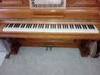 Foto 2 di 4