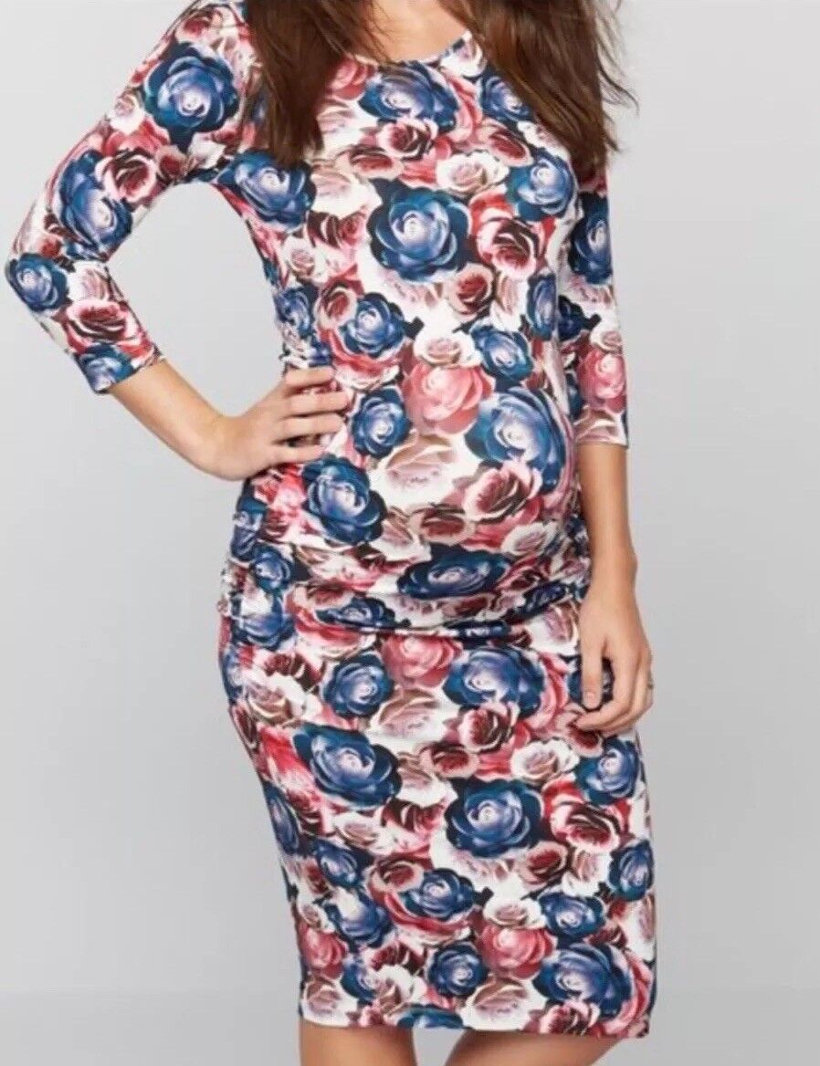 Isabella Oliver Pea in the Pod Womens Midi Tyler Dress sz 3 Small Floral NWOT Isabella Oliver Pea in the Pod Womens Midi Tyler Dress sz 3 Small Floral NWOT