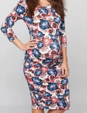 Isabella Oliver Pea in the Pod Womens Midi Tyler Dress sz 3 Small Floral NWOT