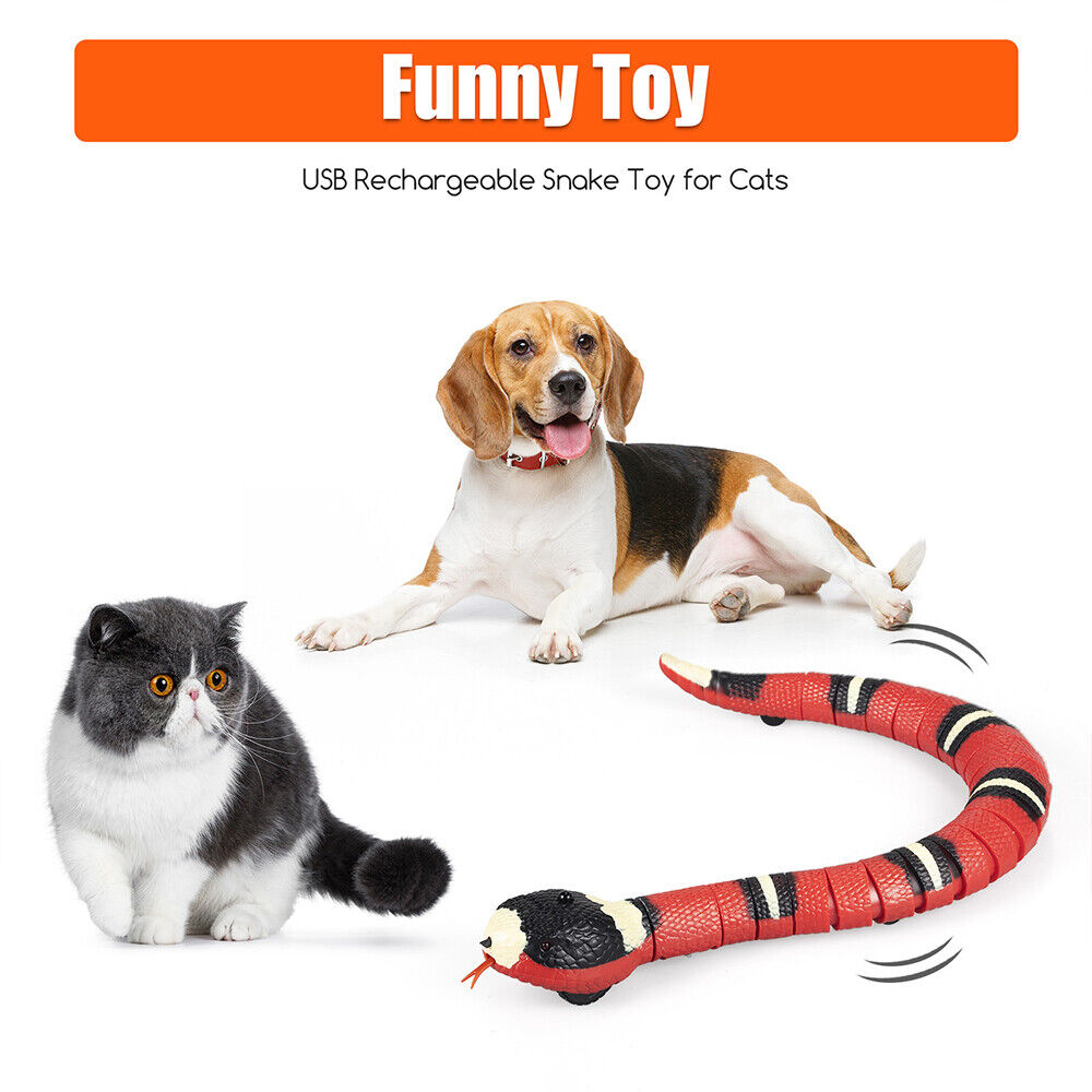 Smart Sensing Snake Cat Toys Eletronic Interactive Toys for Cats USB  Charging Cat Accessories for Pet Dogs Game Play Toy