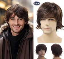 Men's Short Brown Wig Natural Fluffy Synthetic Hair Wig Heat Resistant Daily USA