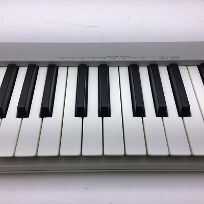 Roland MIDIキーボード PC200  ソフトケース付 Roland MIDIキーボード PC200 ソフトケース付