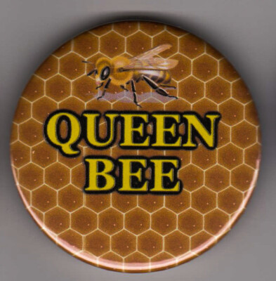 Bienenkönigin Abzeichen für Imker - Wabenbienenstock Design Bienenstock Nadel Knopf