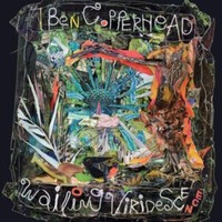 Ben Copperhead - Wailing Viridescence - Vinyl Record 12 Album - E3447Z