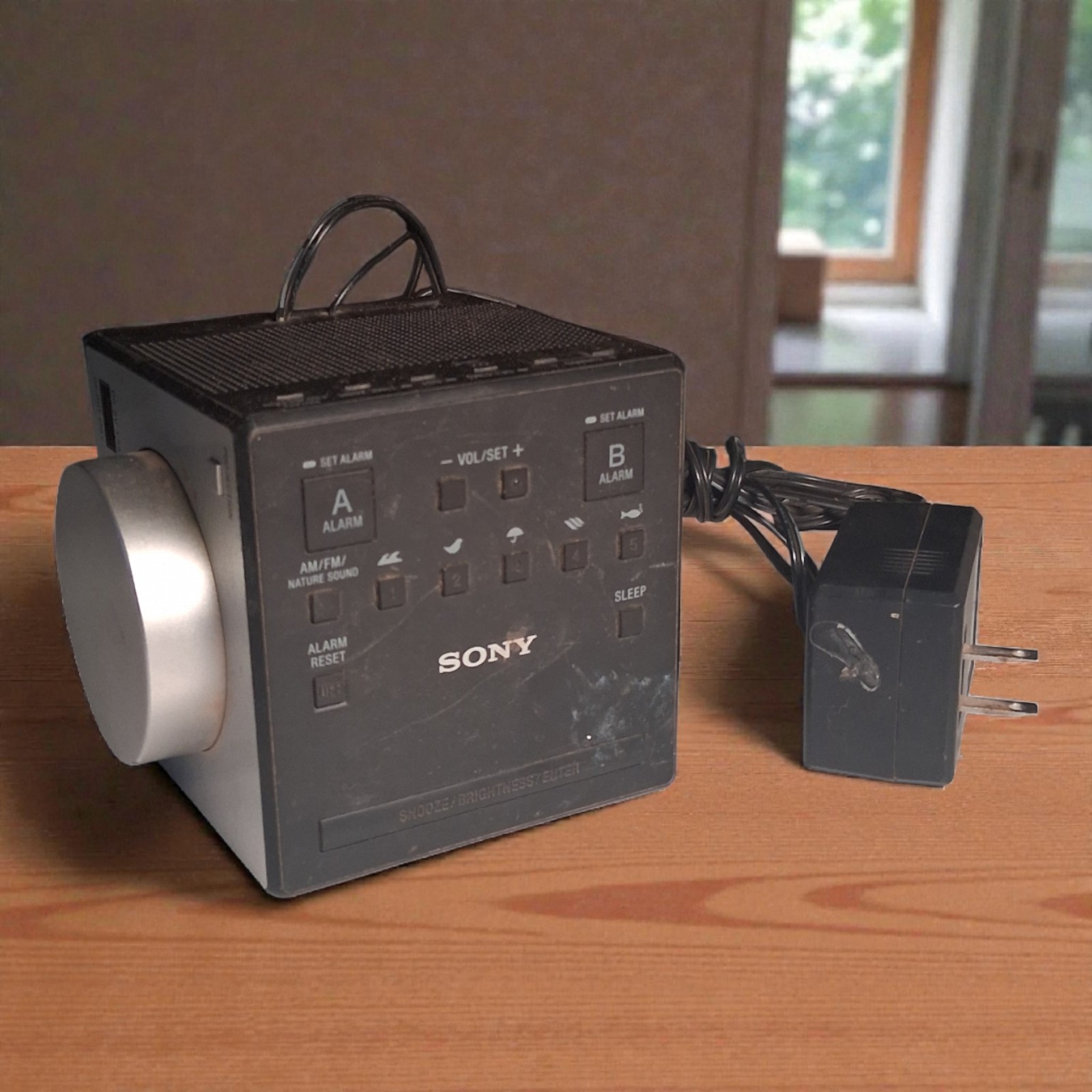 Radio W/ Time Projection, Dual Alarm & Usb Power...