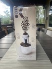 Foto 2 di 4