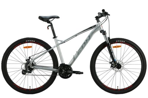 Mountainbike Hardtail MTB 29" Aluminium Scheibenbremse Silber RH 46 cm Fahrrad - Bild 2 von 3