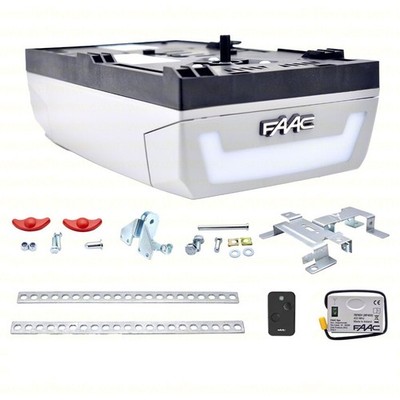 Automatisierung für Sektionaltore Garage FAAC Dolphin Satz 10566544 Motor 24V